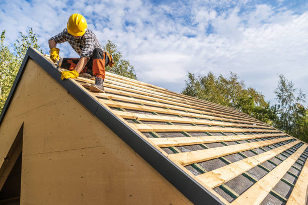 Best Roof Gutter Cleaning  in Yankton, SD